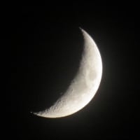 ７月初めのつぶやき