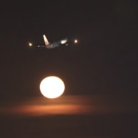 羽田空港夜撮ー２（JAL機）