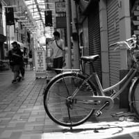 日のさすところ