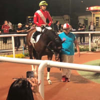 愛馬パレルモ大井B2特別戦優勝！！