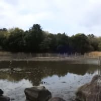 東京・葛西臨海公園 Kasai Marine Park, Tokyo, April 6, 2025