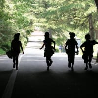 ▼五月のある晴れた日の「子どもの国」で