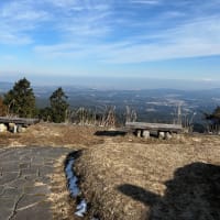 今日は本当に暖かかったですね