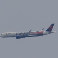 最近撮った特別塗装機（DELTA）