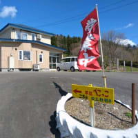 元気に育っている