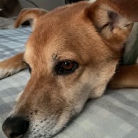 エアコンクリーニング