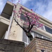 異形鉄筋/　騒ぎ