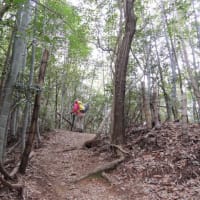 操山　　里山センター→ふれあいの辻→沢田裏山古墳→二股古墳→金蔵山古墳→石鉄山古墳　①　2016.02.22　　「262」