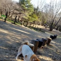 クリンへの想いは尽きなくて・・・301