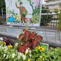 打席には清宮…新庄監督の「異次元采配」にファン困惑まさかの決断が「トリッキー」・・・　小三治師匠目指して！