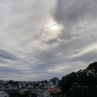 仲良しさ〜ん
