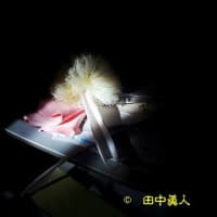 まどろみの時間帯