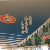 カナモト（9678）の株主優待の紹介