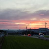 ６月25日水曜日、雨も降るが曇り空