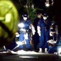 鈴木沙彩 トレンドリサーチ 鈴木沙彩 トレンドリサーチ