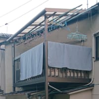光