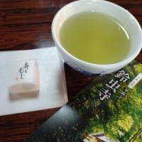 京都ロングステイ④