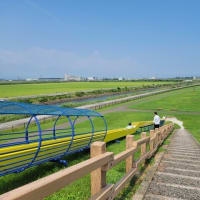 岩沼海浜緑地のローラー滑り台