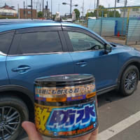 奇数月はワックスで車磨く、血ィ抜いて…