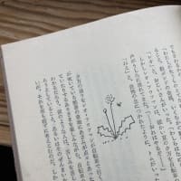 初夏到来