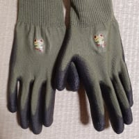カエルのガーデングローブ