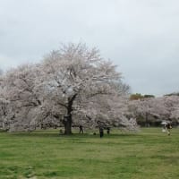 昭和記念公園（その２）