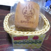 宮中島温泉「ミオンなかさと」＠十日町