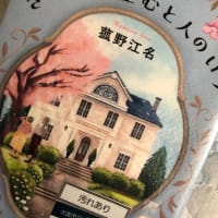 読書感想。ネタばれあり「さいわい住むと人のいう」菰野江名著