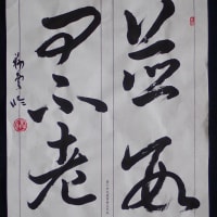 動画で書道を学びましょう！…十七帖（竝數問不老）