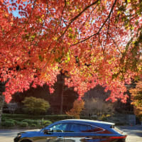妻と２人で島根県の匹見峡へ紅葉ドライブ