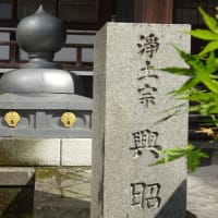 水子地蔵が祀られ！杉田玄白（江戸時代の偉人）の墓も有る！浄土宗・栄閑院（通称猿寺）！