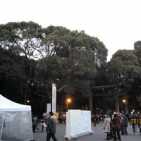 明治神宮は行ったんだけど。