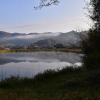 今日の『お写ん歩』終了！！（2025年4月16日）
