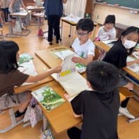 報告文を書こう！