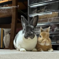 おはようございます