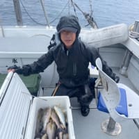 ７月2日から〜４日の釣果〜🎣🐟