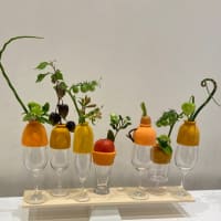 アグロステンマ