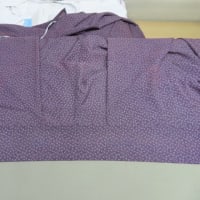 絽江戸小紋単衣（作家物）　汗による全体ヤケ　水洗い・しみ抜き・色掛け（色修正・染色補正・染直し・部分染・地直し・ヤケ直し）正絹素材