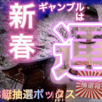 新春運試し競艇🤩