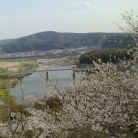 「広島県三次市 尾関山公園」