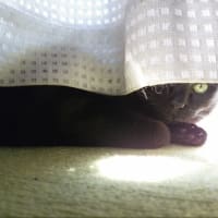 連休終わった…