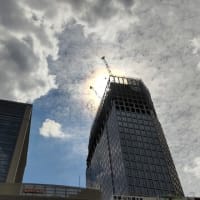 秋晴れの中之島を歩く