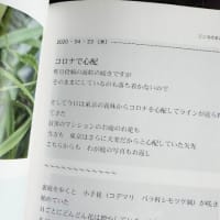 書籍化