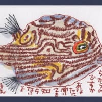 昨日と似たものに・・・
