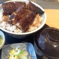 木炭リハーサル