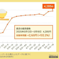 米価高騰による令和のコメ騒動の原因と需給と備蓄米の放出