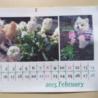 カレンダー、コンビニで印刷しました。