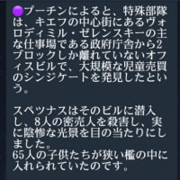 トランプ大統領がプーチン・ロシアのウクライナ軍事作戦の真実を語る😂きっかけを作ったのはウクライナ💥ロシアに反撃されて当然＝トランプ大統領💥既に2022年ウクライナはプーチンロシア軍によって平和に