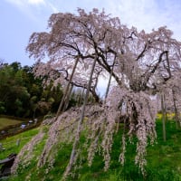 気まぐれに福島の三春へ