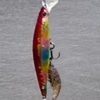 2025MAY25 魚釣り